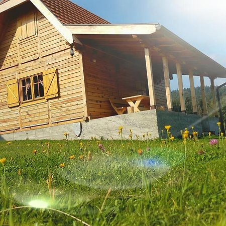 Brvnara Tara Villa Bajina Basta Luaran gambar