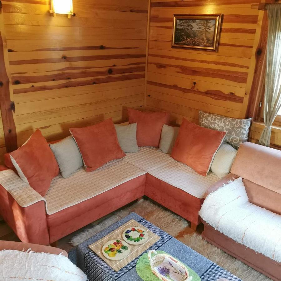 Brvnara Tara Villa Bajina Basta Luaran gambar